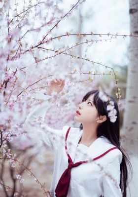 棍之勇者在线观看_高清电影全集观看